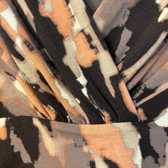 Ann Taylor EUC women’s dress size 6P..  pretty fall colors. - Picture 4 of 7